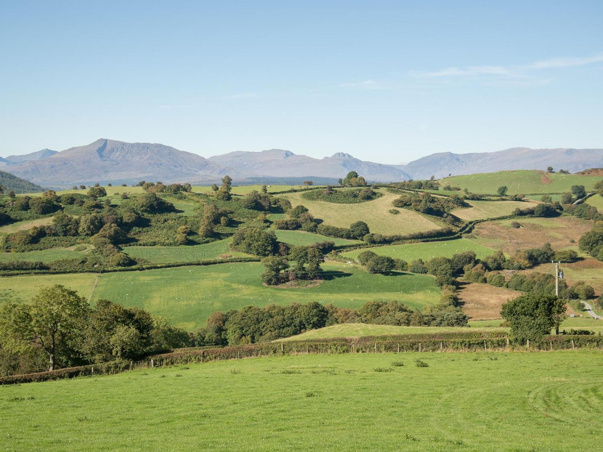 Cefn Bach Villa Capel Garmon Exteriör bild